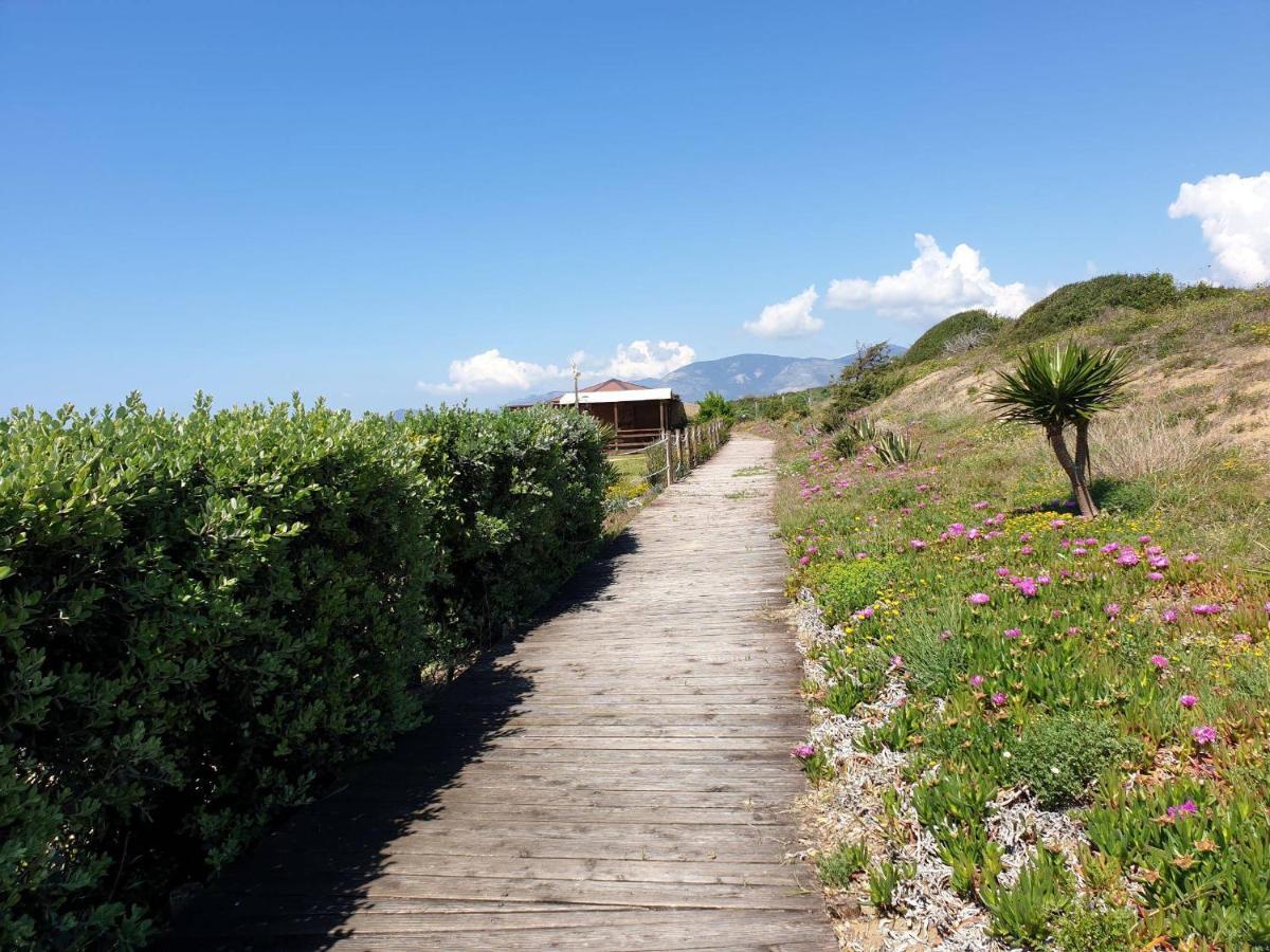 ספרלונגה La Villa Fronte Spiaggia Bandiera Blu מראה חיצוני תמונה
